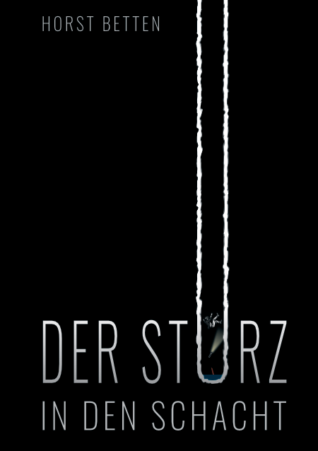 Cover: Der Sturz in den Schacht