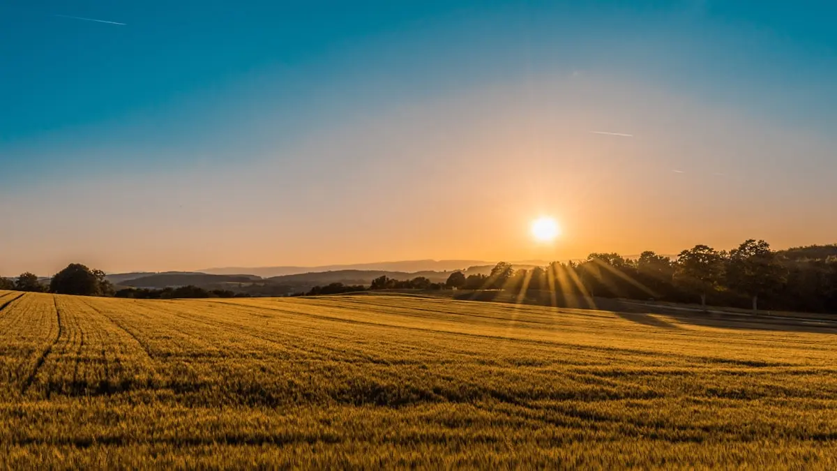 Eifellandschaft im Herbst