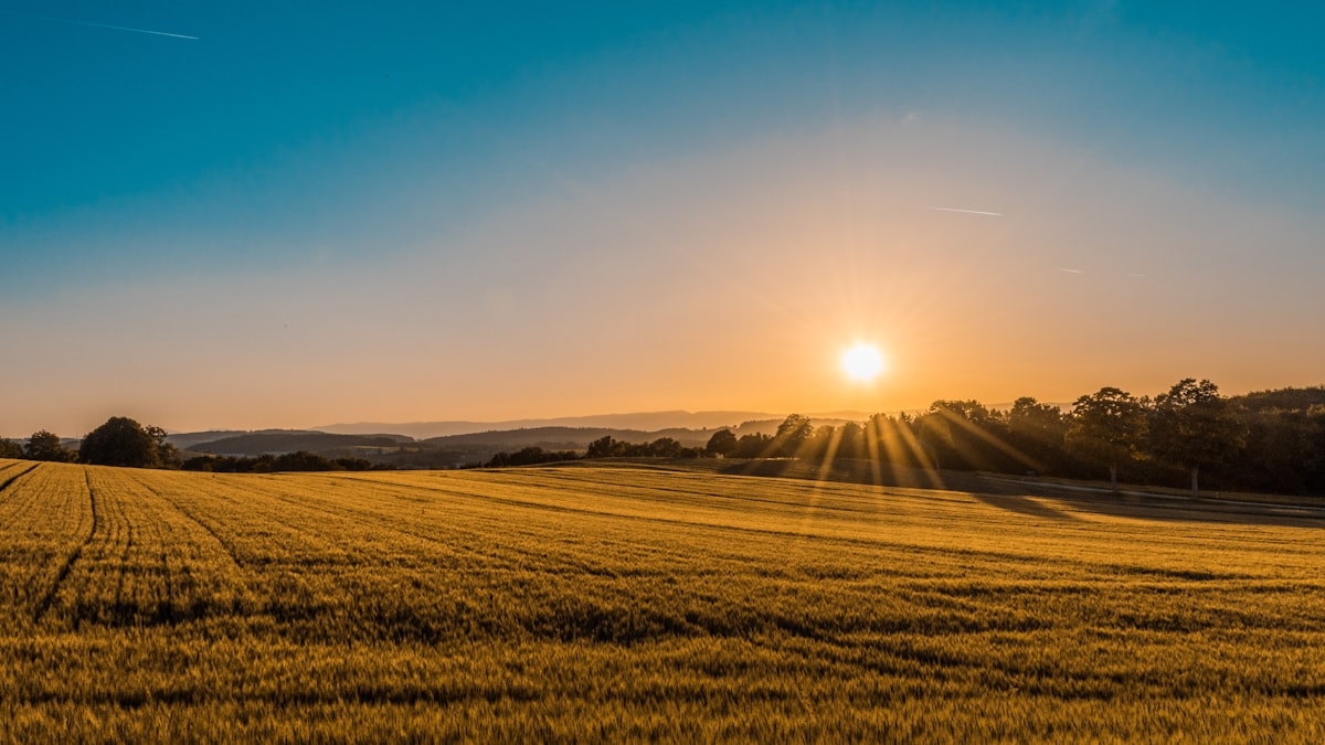 Eifellandschaft im Herbst
